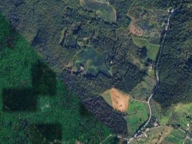 foto principale del terreno