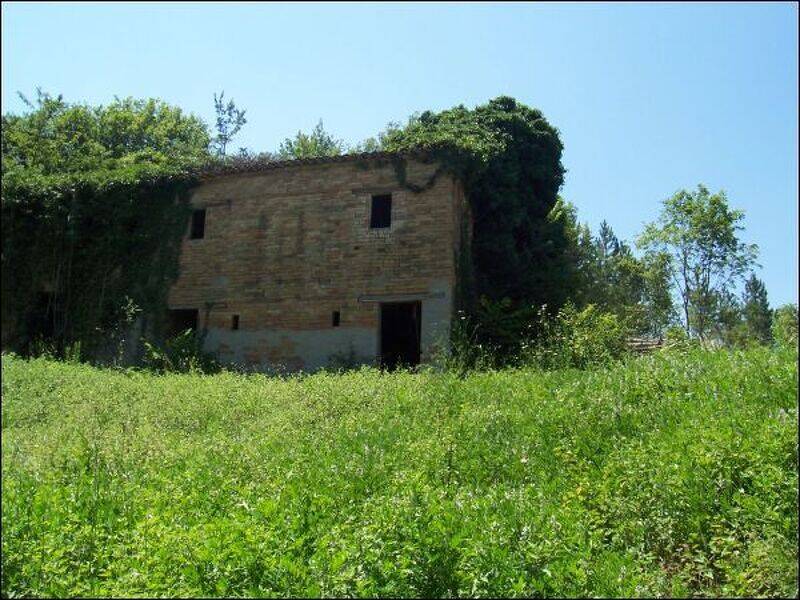 foto principale del terreno