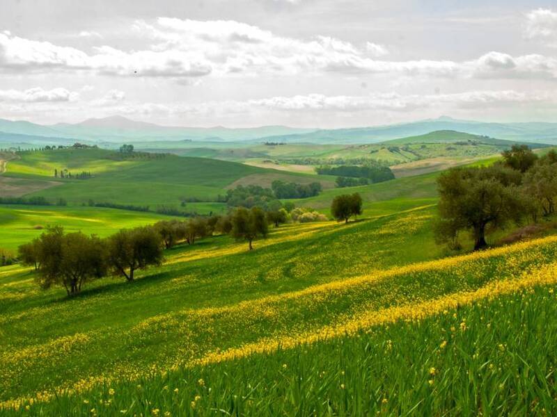 foto principale del terreno