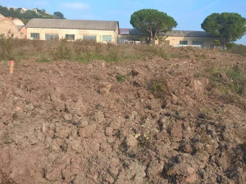 foto principale del terreno