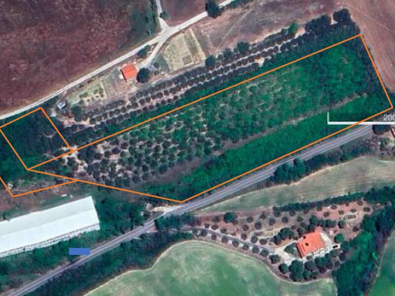 foto principale del terreno