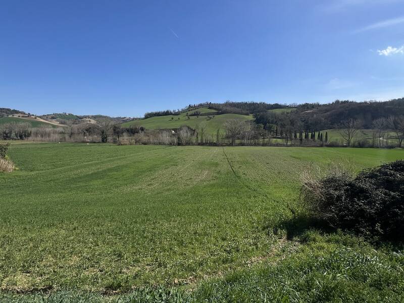 foto principale del terreno