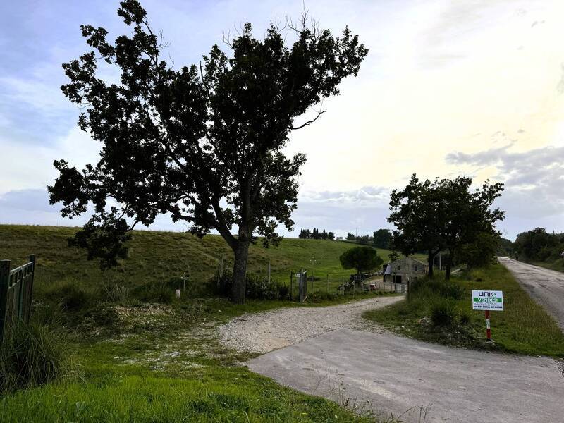 foto principale del terreno