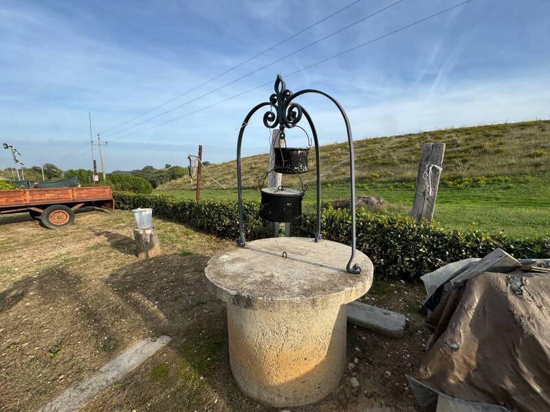 foto principale del terreno