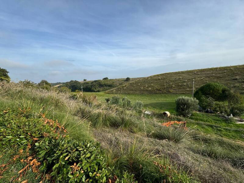 foto principale del terreno