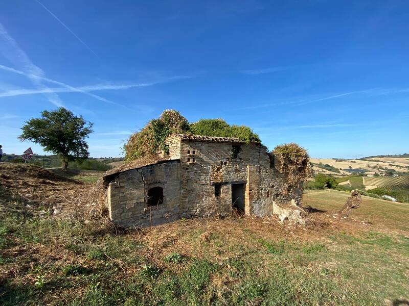 foto principale del terreno