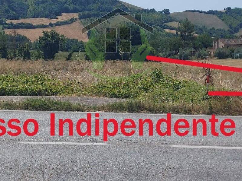 foto principale del terreno