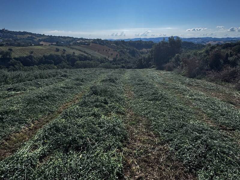 foto principale del terreno