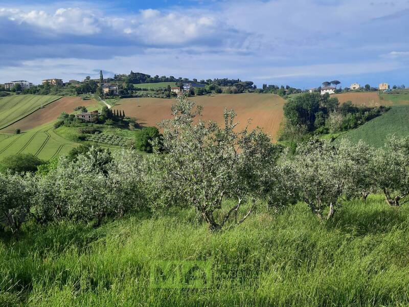 foto principale del terreno