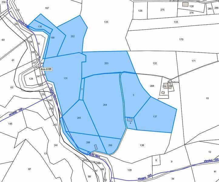 foto principale del terreno