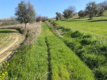 foto principale del terreno