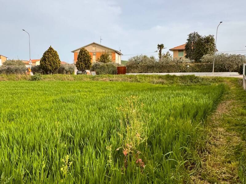 foto principale del terreno