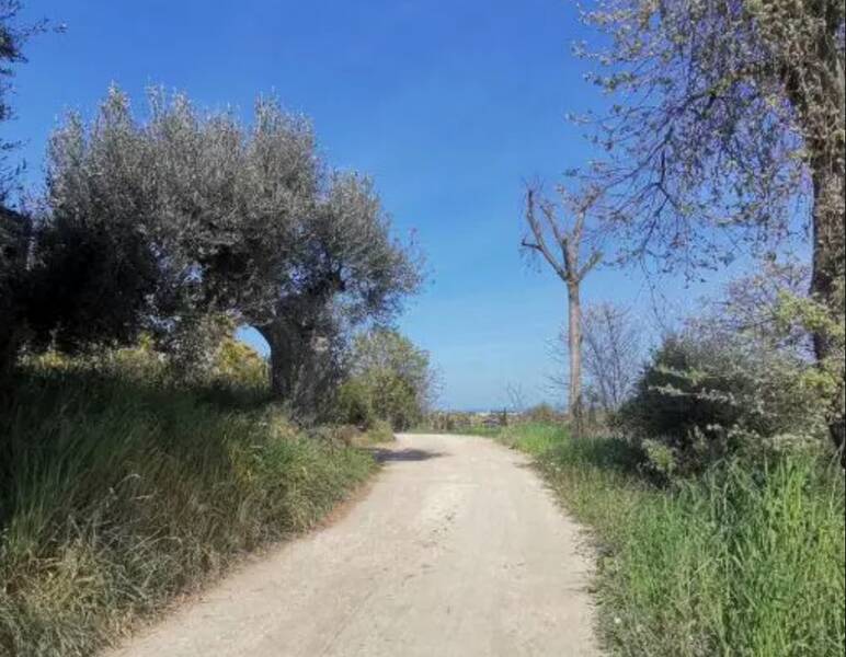 foto principale del terreno