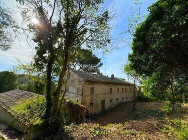 foto principale del terreno
