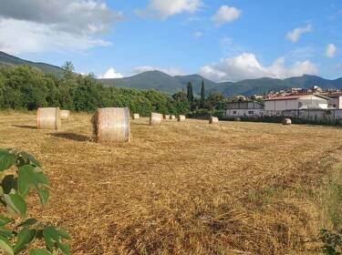 foto principale del terreno