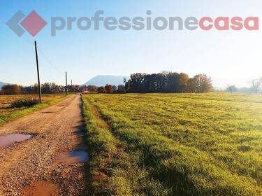 foto principale del terreno