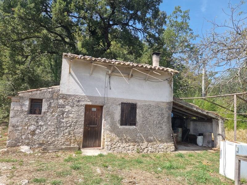foto principale del terreno
