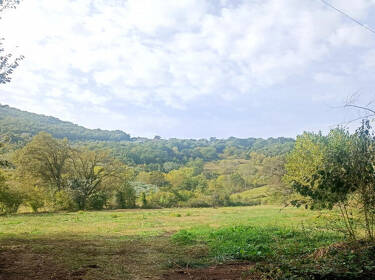 foto principale del terreno