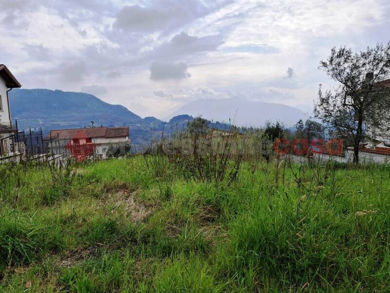 foto principale del terreno