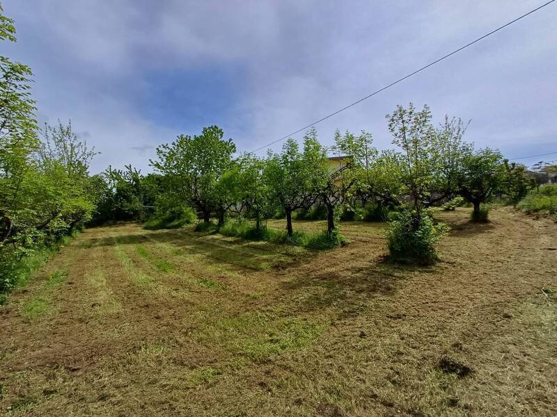 foto principale del terreno
