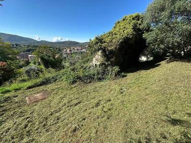 foto principale del terreno