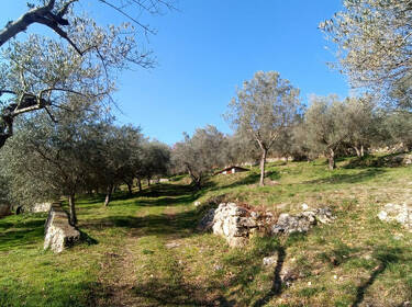 foto principale del terreno