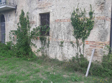 foto principale del terreno