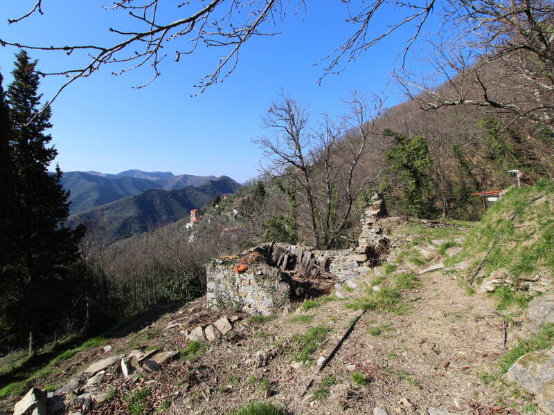 foto principale del terreno
