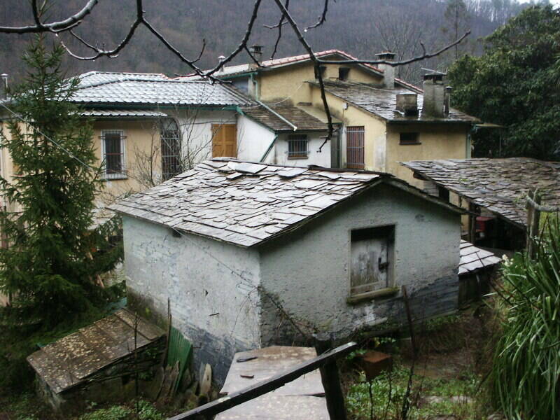 immagine annuncio 2 di 4