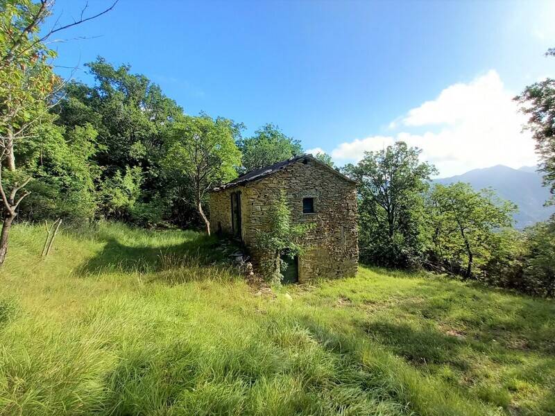 foto principale del terreno