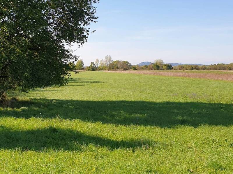 foto principale del terreno