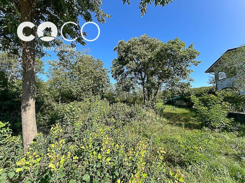 foto principale del terreno