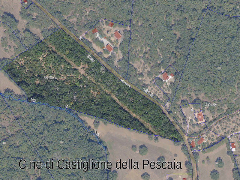 foto principale del terreno