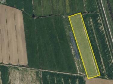 foto principale del terreno