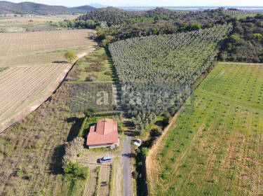 foto principale del terreno