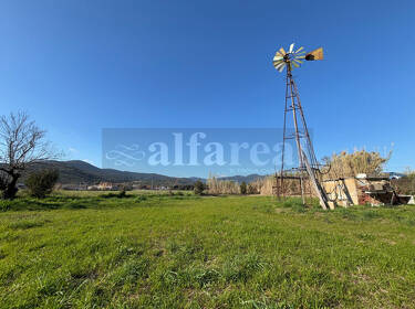 foto principale del terreno