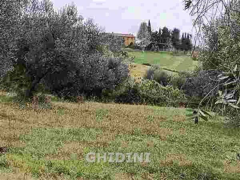 foto principale del terreno