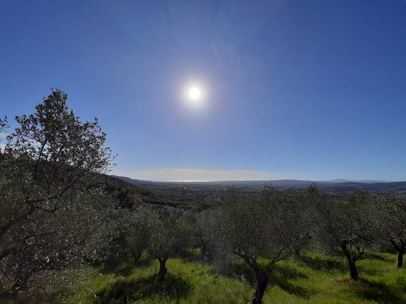 foto principale del terreno