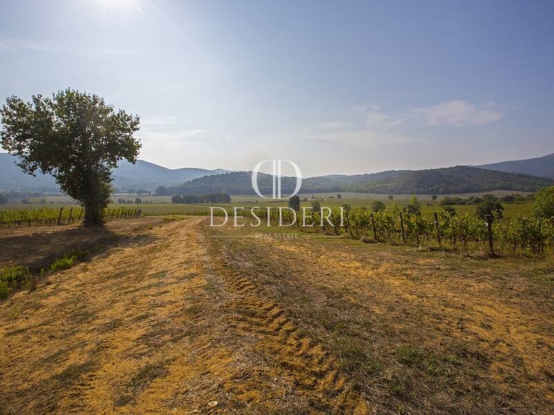 foto principale del terreno