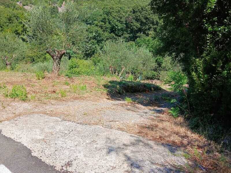 foto principale del terreno