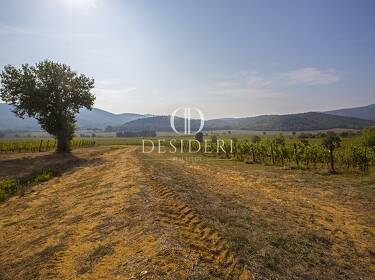 foto principale del terreno