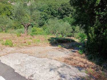 foto principale del terreno