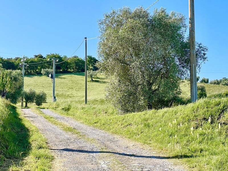 foto principale del terreno