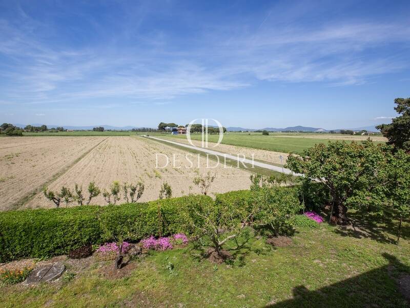 foto principale del terreno