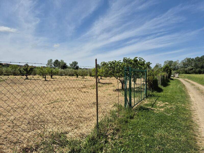 foto principale del terreno