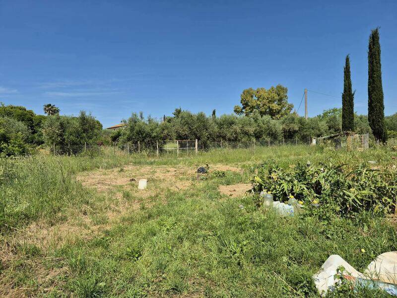 foto principale del terreno