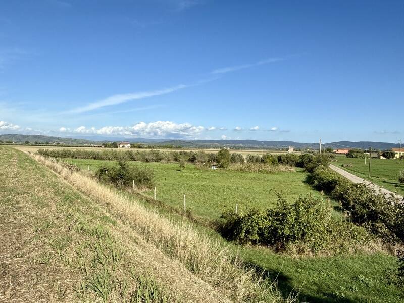 foto principale del terreno