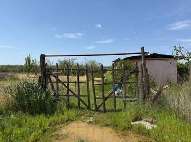 foto principale del terreno