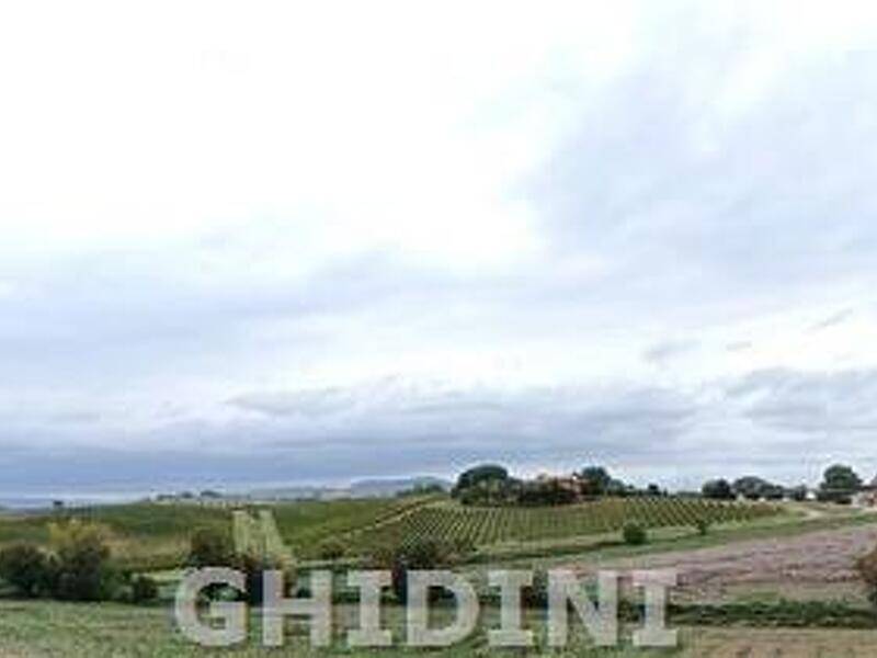 foto principale del terreno