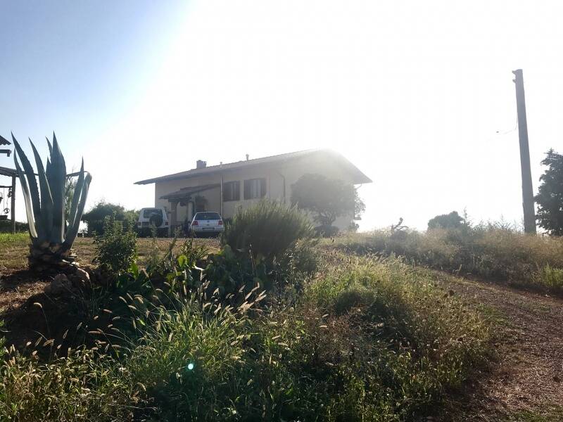 foto principale del terreno